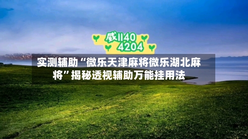 实测辅助“微乐天津麻将微乐湖北麻将”揭秘透视辅助万能挂用法-第2张图片