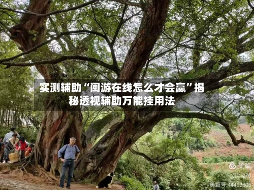 实测辅助“闽游在线怎么才会赢”揭秘透视辅助万能挂用法-第3张图片