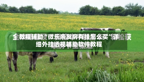 教程辅助“微乐亲友房有挂怎么买	”详细外挂透视辅助软件教程-第1张图片