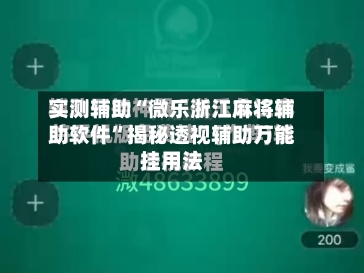 实测辅助“微乐浙江麻将辅助软件”揭秘透视辅助万能挂用法-第1张图片