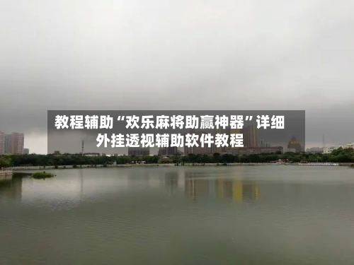 教程辅助“欢乐麻将助赢神器”详细外挂透视辅助软件教程-第3张图片