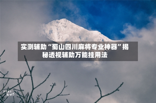 实测辅助“蜀山四川麻将专业神器”揭秘透视辅助万能挂用法-第3张图片