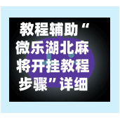 教程辅助“微乐湖北麻将开挂教程步骤	”详细外挂透视辅助软件教程-第1张图片