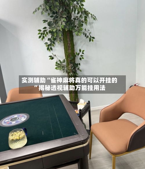 实测辅助“雀神麻将真的可以开挂的”揭秘透视辅助万能挂用法-第2张图片