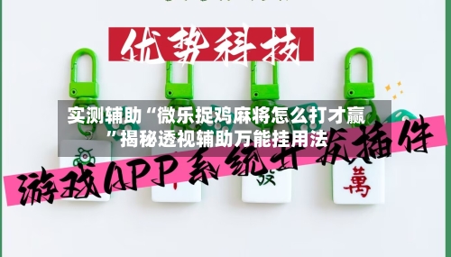 实测辅助“微乐捉鸡麻将怎么打才赢”揭秘透视辅助万能挂用法-第1张图片