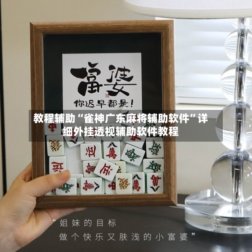 教程辅助“雀神广东麻将辅助软件”详细外挂透视辅助软件教程-第1张图片