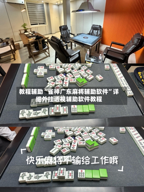 教程辅助“雀神广东麻将辅助软件”详细外挂透视辅助软件教程-第2张图片