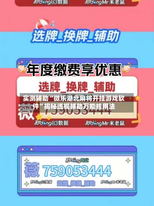 实测辅助“微乐湖北麻将开挂游戏软件”揭秘透视辅助万能挂用法-第1张图片