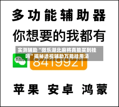 实测辅助“微乐湖北麻将真能买到挂吗”揭秘透视辅助万能挂用法-第1张图片