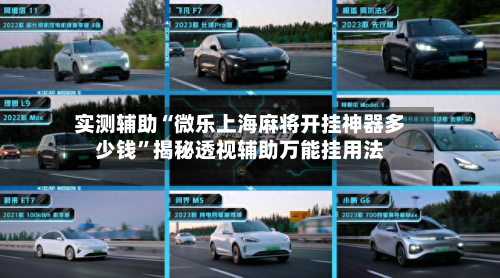 实测辅助“微乐上海麻将开挂神器多少钱”揭秘透视辅助万能挂用法-第1张图片