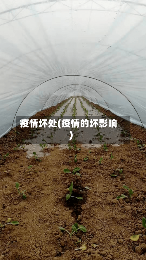 疫情坏处(疫情的坏影响)-第1张图片