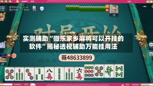 实测辅助“微乐家乡麻将可以开挂的软件”揭秘透视辅助万能挂用法-第2张图片