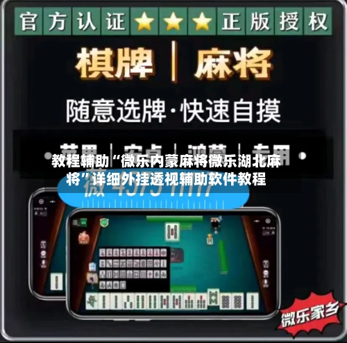 教程辅助“微乐内蒙麻将微乐湖北麻将”详细外挂透视辅助软件教程-第2张图片