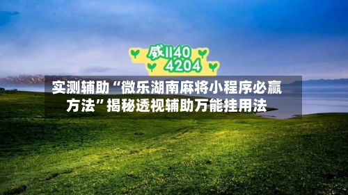 实测辅助“微乐湖南麻将小程序必赢方法”揭秘透视辅助万能挂用法-第2张图片
