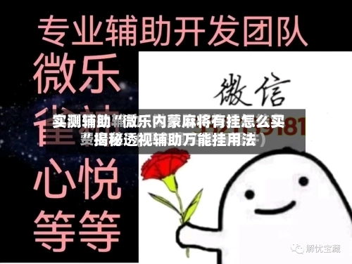 实测辅助“微乐内蒙麻将有挂怎么买”揭秘透视辅助万能挂用法-第2张图片