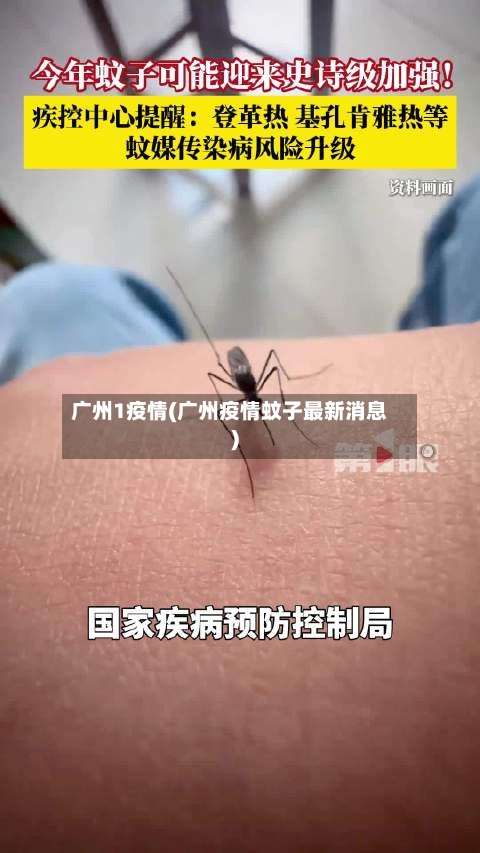 广州1疫情(广州疫情蚊子最新消息)-第1张图片