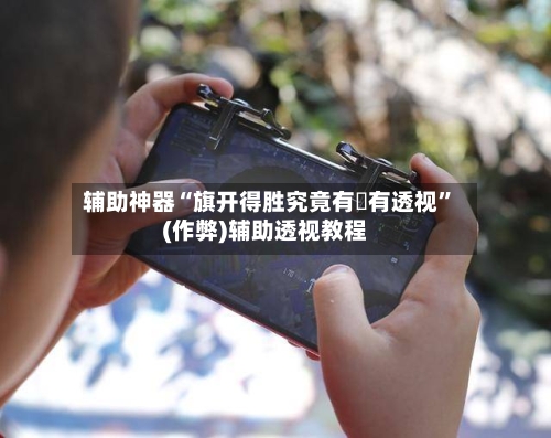 辅助神器“旗开得胜究竟有沒有透视	”(作弊)辅助透视教程-第3张图片