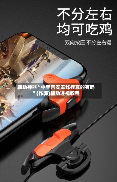 辅助神器“中至吉安王炸挂真的有吗”(作弊)辅助透视教程-第1张图片