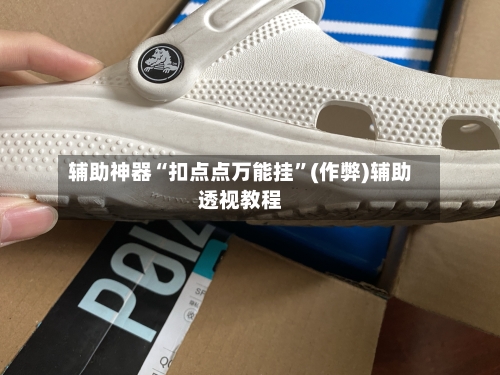 辅助神器“扣点点万能挂	”(作弊)辅助透视教程-第3张图片