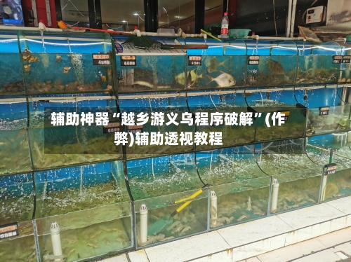辅助神器“越乡游义乌程序破解	”(作弊)辅助透视教程-第1张图片