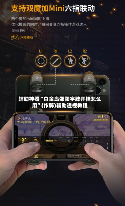 辅助神器“白金岛邵阳字牌开挂怎么用	”(作弊)辅助透视教程-第2张图片