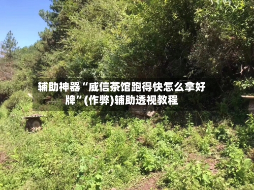 辅助神器“威信茶馆跑得快怎么拿好牌	”(作弊)辅助透视教程-第2张图片