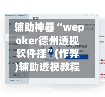 辅助神器“wepoker德州透视软件挂	”(作弊)辅助透视教程-第3张图片
