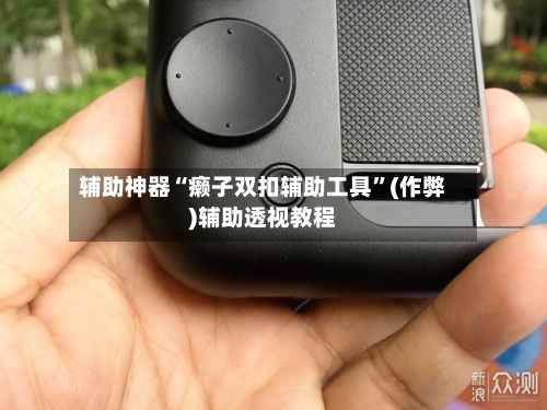 辅助神器“癞子双扣辅助工具”(作弊)辅助透视教程-第2张图片