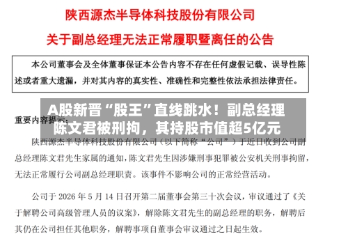 A股新晋“股王”直线跳水！副总经理陈文君被刑拘	，其持股市值超5亿元-第1张图片
