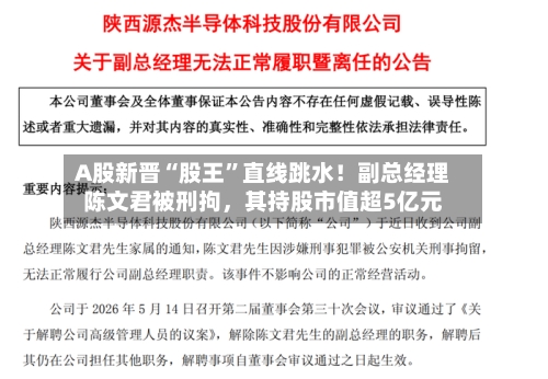 A股新晋“股王	”直线跳水！副总经理陈文君被刑拘，其持股市值超5亿元-第2张图片