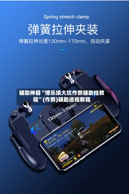 辅助神器“博乐填大坑作弊辅助挂教程”(作弊)辅助透视教程-第2张图片