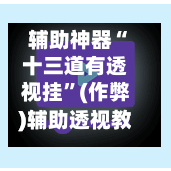 辅助神器“十三道有透视挂	”(作弊)辅助透视教程-第1张图片