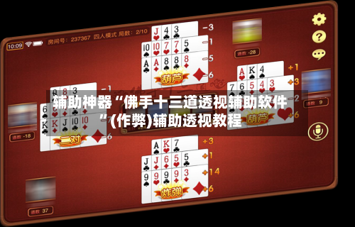 辅助神器“佛手十三道透视辅助软件	”(作弊)辅助透视教程-第3张图片