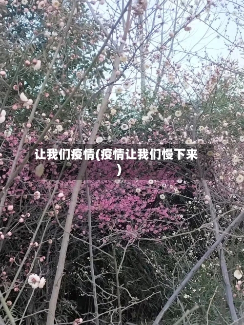 让我们疫情(疫情让我们慢下来)-第2张图片