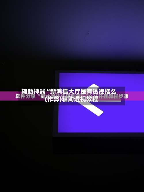 辅助神器“新鸿狐大厅是有透视挂么”(作弊)辅助透视教程-第3张图片