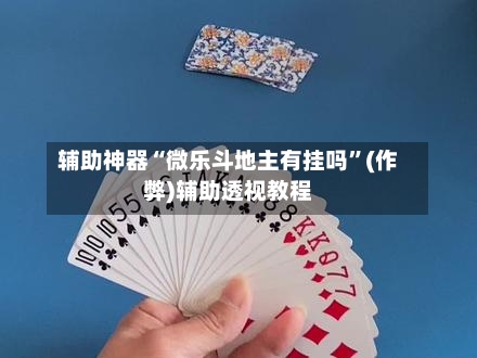 辅助神器“微乐斗地主有挂吗	”(作弊)辅助透视教程-第2张图片
