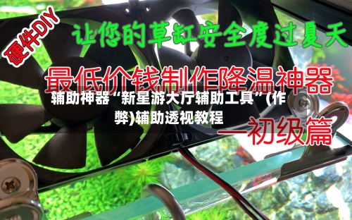 辅助神器“新星游大厅辅助工具”(作弊)辅助透视教程-第2张图片