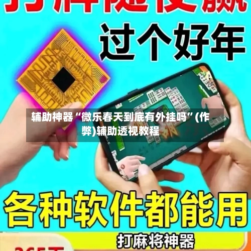 辅助神器“微乐春天到底有外挂吗	”(作弊)辅助透视教程-第2张图片