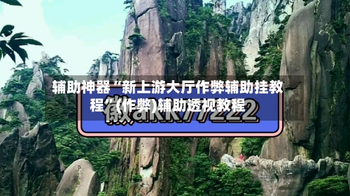 辅助神器“新上游大厅作弊辅助挂教程”(作弊)辅助透视教程-第2张图片