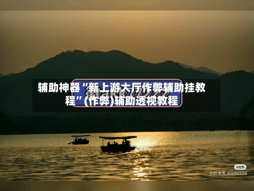 辅助神器“新上游大厅作弊辅助挂教程	”(作弊)辅助透视教程-第3张图片