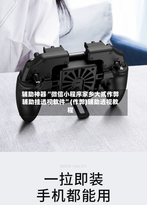 辅助神器“微信小程序家乡大贰作弊辅助挂透视软件	”(作弊)辅助透视教程-第1张图片