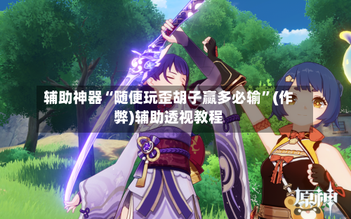 辅助神器“随便玩歪胡子赢多必输”(作弊)辅助透视教程-第3张图片