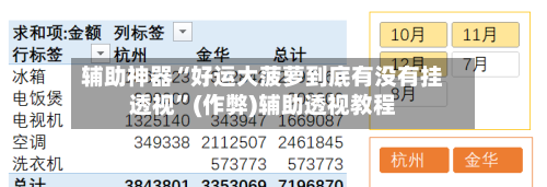 辅助神器“好运大菠萝到底有没有挂透视”(作弊)辅助透视教程-第1张图片