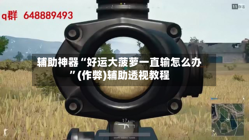 辅助神器“好运大菠萝一直输怎么办”(作弊)辅助透视教程-第1张图片