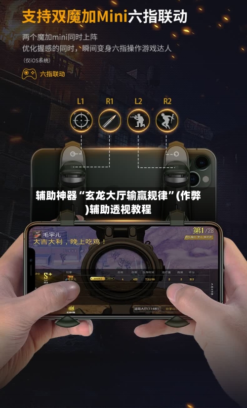 辅助神器“玄龙大厅输赢规律”(作弊)辅助透视教程-第3张图片