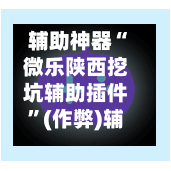 辅助神器“微乐陕西挖坑辅助插件	”(作弊)辅助透视教程-第1张图片