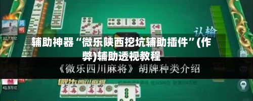 辅助神器“微乐陕西挖坑辅助插件	”(作弊)辅助透视教程-第3张图片