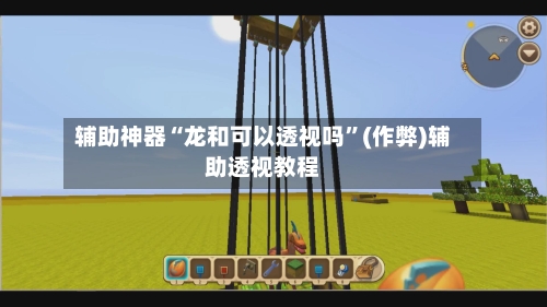 辅助神器“龙和可以透视吗”(作弊)辅助透视教程-第3张图片