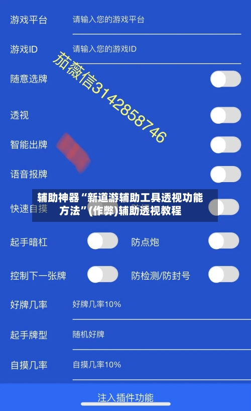 辅助神器“新道游辅助工具透视功能方法”(作弊)辅助透视教程-第2张图片