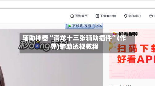 辅助神器“清龙十三张辅助插件	”(作弊)辅助透视教程-第2张图片